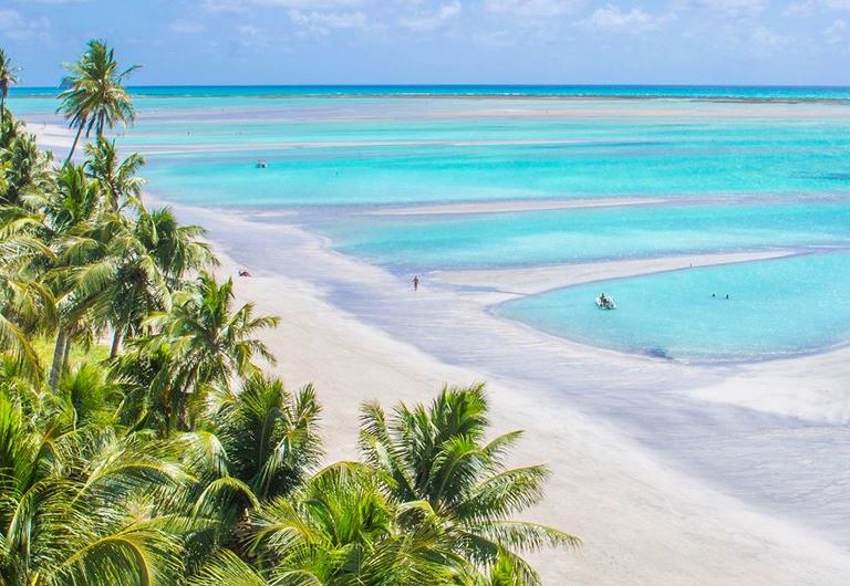 Roteiro de 3 Dias em Maragogi: Praias Imperdíveis e Dicas