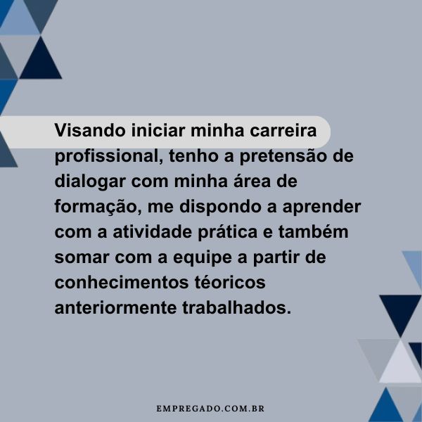 Trabalho Voluntário e Projetos Pessoais: Ganhando Experiência Prática - inspiração 2