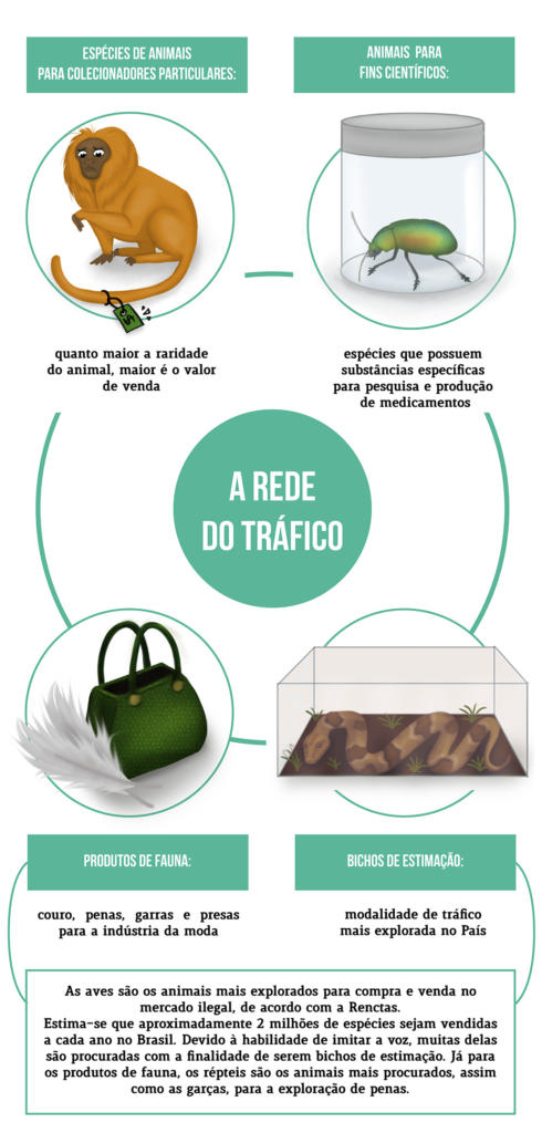 quais as consequencias do trafico de animais