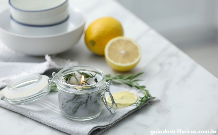 Fim de Tarde e Amanhecer: Os Horários de Ataque dos Borrachudos - inspiração 1