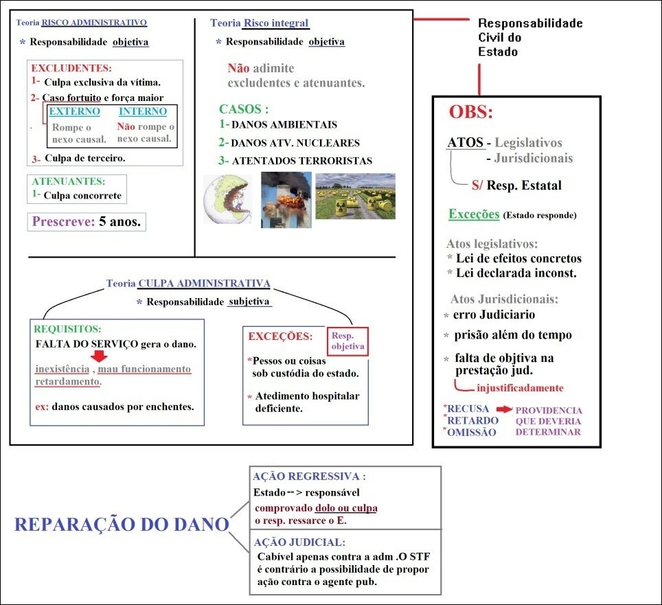 Quando a Responsabilidade é Exclusiva do Filho? - inspiração 1
