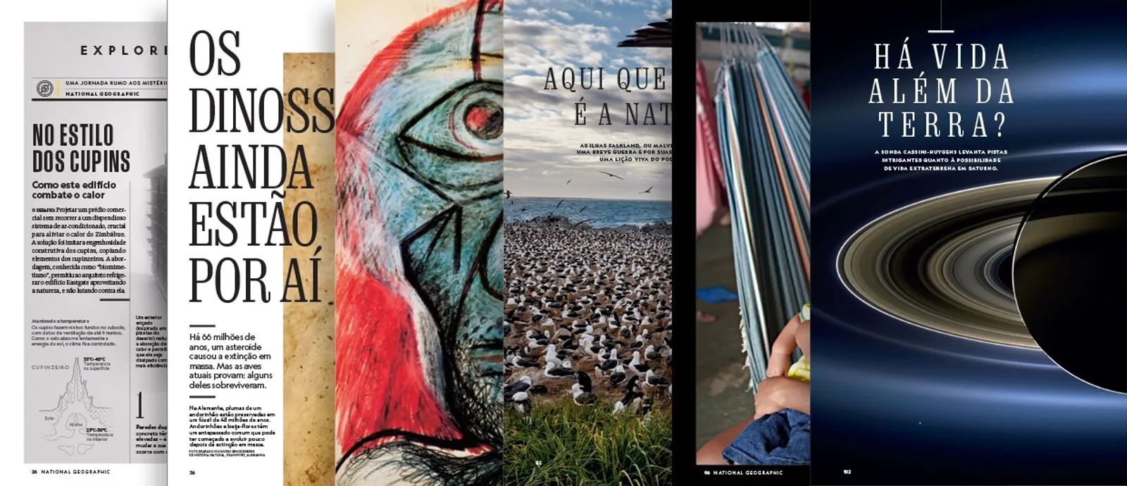 Acesso Imediato a Conteúdo Exclusivo - inspiração 1