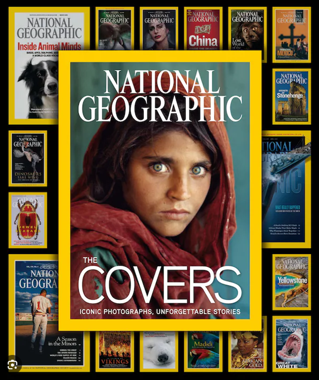 Descobertas Científicas e Inovações Explicadas - inspiração 2