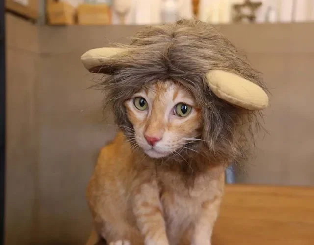 O Misterioso Jaguar: O Felino das Américas e sua Força Incomparável - inspiração 1