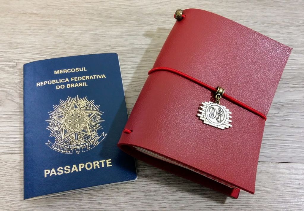 Mantenha Seu Passaporte Válido: Evite Custos Extras por Vencimento - inspiração 2