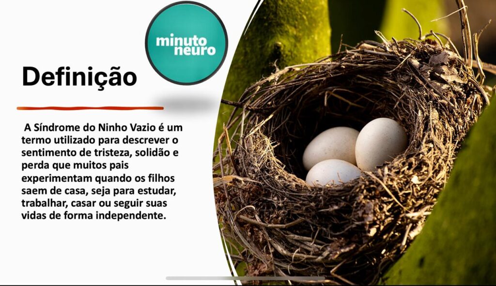 1. Síndrome do Ninho Vazio: Entendendo os Sintomas e Fatores Intensificadores.
2. Estratégias Práticas para Superar a Síndrome do Ninho Vazio.
3. O Papel do Casal na Adaptação à Síndrome do Ninho Vazio.
4. Redescobrindo a Identidade Pós-Ninho Vazio: Hobbies e Projetos Pessoais.
5. Quando Buscar Ajuda Profissional para a Síndrome do Ninho Vazio?
