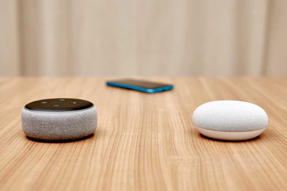 alexa vs google home