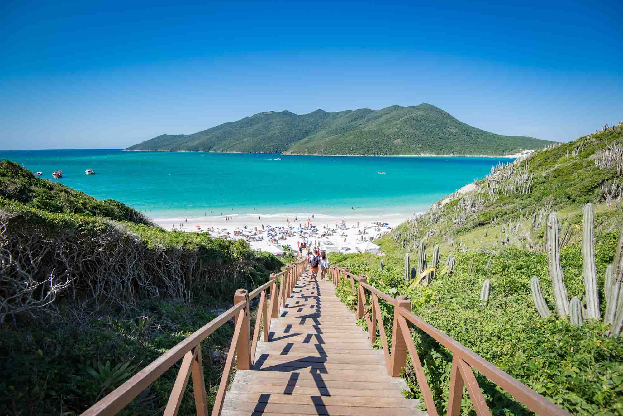 Mergulho em Arraial do Cabo: Os melhores pontos e dicas para iniciantes
