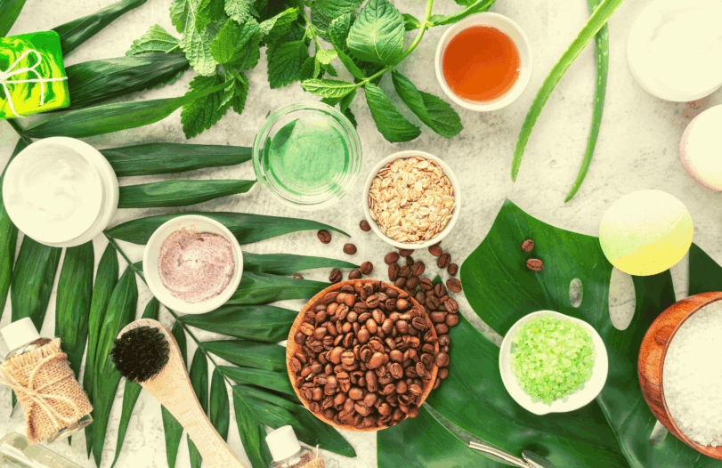 Cruelty-Free e Vegano: Desvendando os Selos e Marcas Essenciais