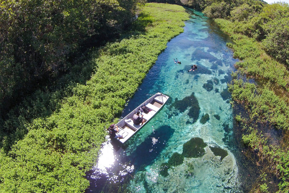 Descobrindo o Litoral Potiguar: De São Miguel do Gostoso a Maracajaú