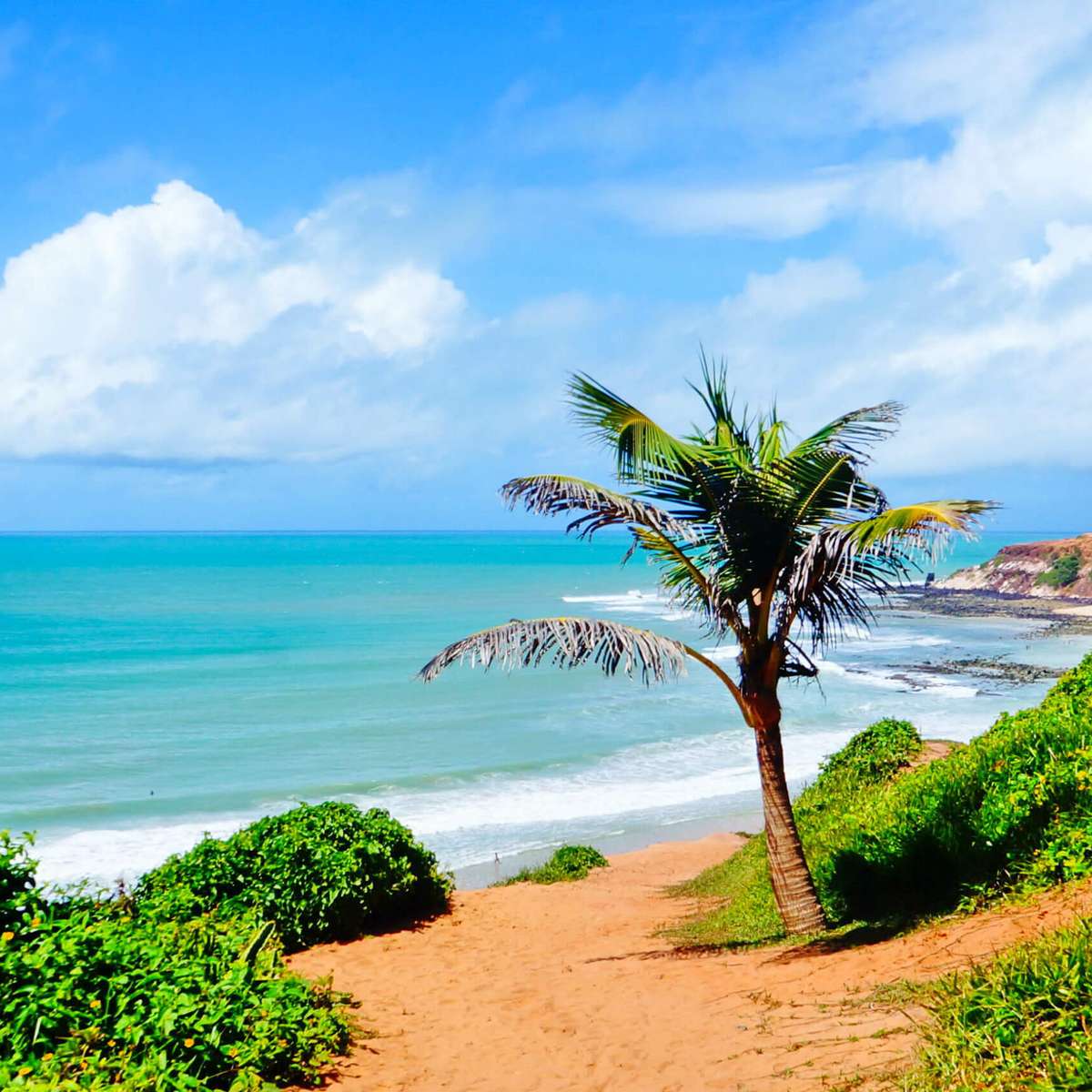 Guia Completo de Bonito (MS): Ecoturismo e Aventura