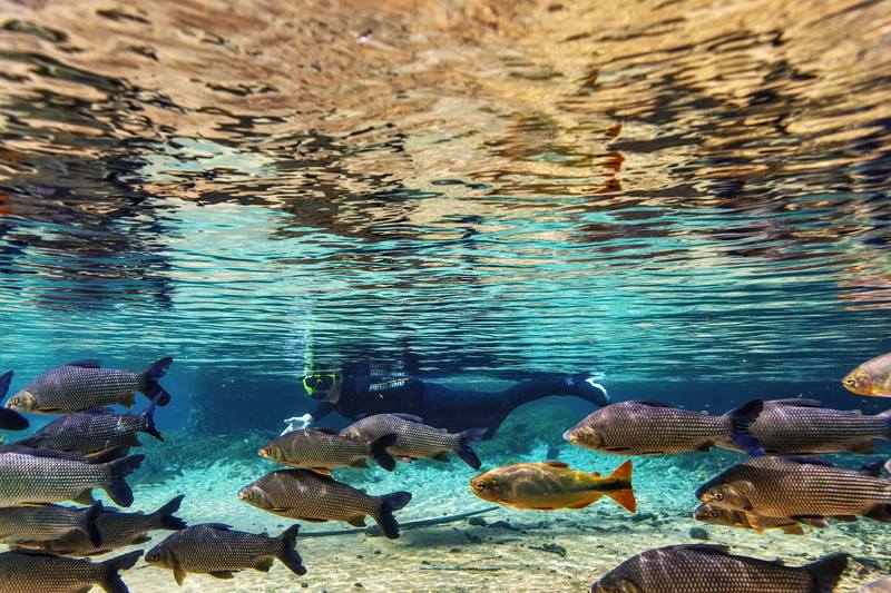 Bonito (PE): Roteiro pelas Cachoeiras do Agreste Pernambucano