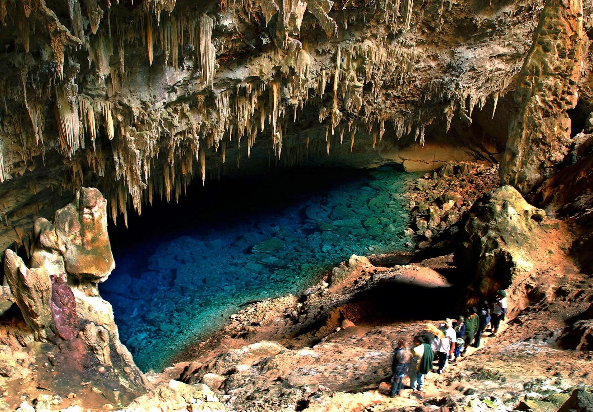 Descobrindo o Litoral Potiguar: De São Miguel do Gostoso a Maracajaú