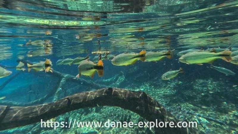 Praia da Pipa: O Destino Mais Bonito do Rio Grande do Norte?