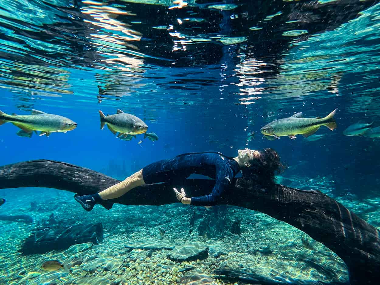 Descobrindo o Litoral Potiguar: De São Miguel do Gostoso a Maracajaú