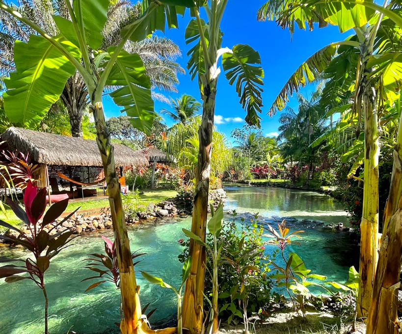 Comparativo: Bonito MS vs Bonito PE - Qual escolher?