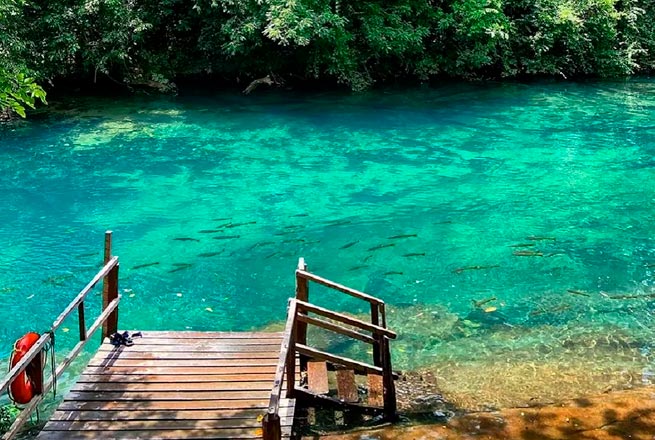 Comparativo: Bonito MS vs Bonito PE - Qual escolher?