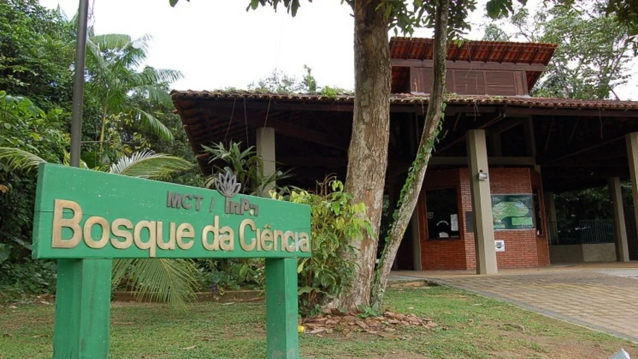 Bosque da Ciência: Um Passeio Gratuito pela Natureza Amazônica em Manaus