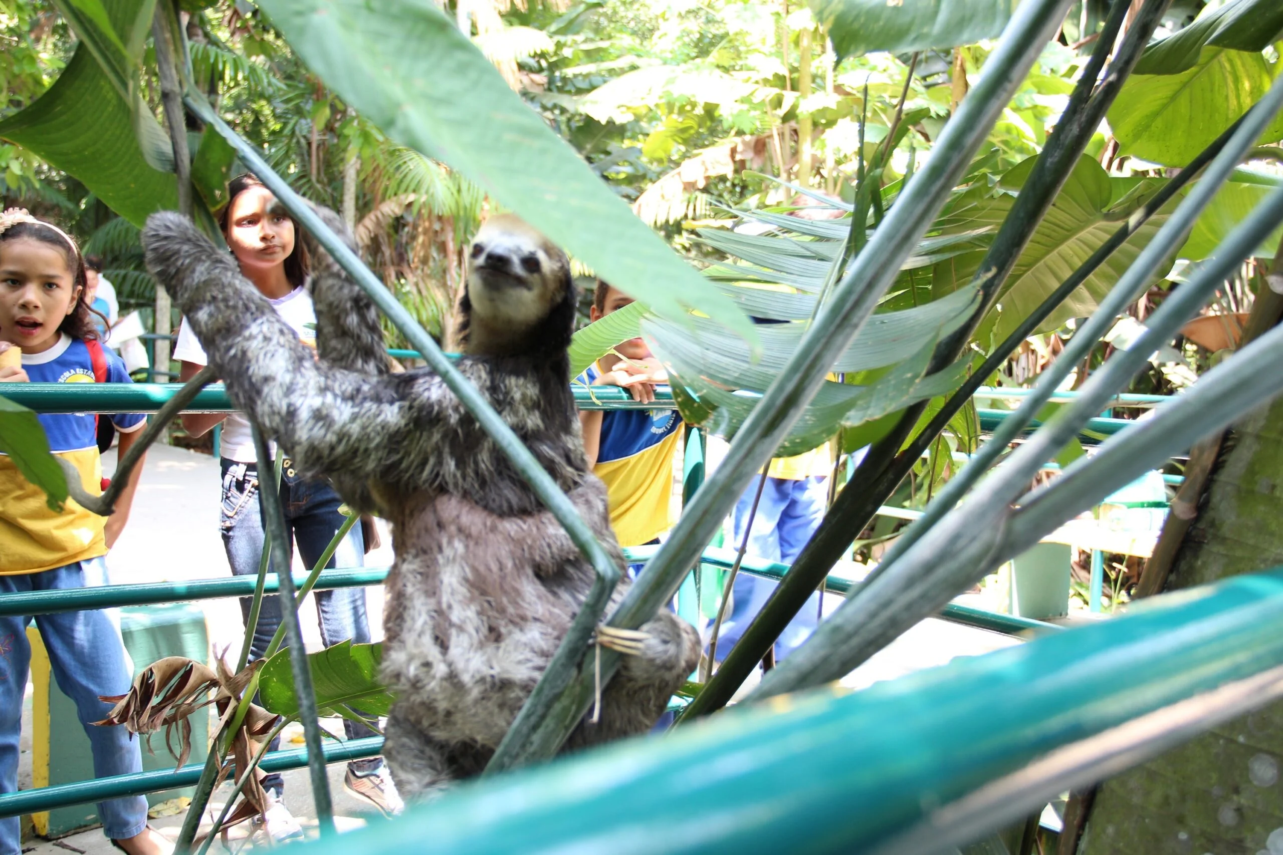 bosque da ciencia manaus horario de funcionamento
