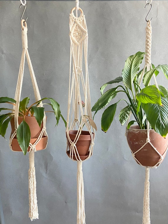 Kits de Cabides: Onde Comprar e Como Garantir a Padronização Perfeita