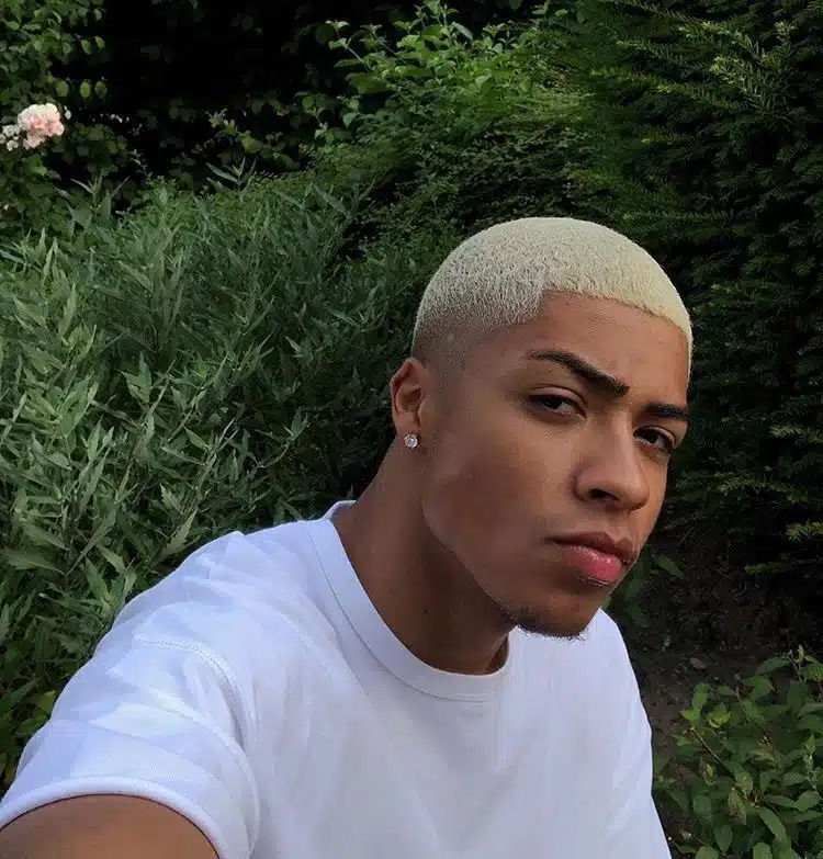 Os Melhores Produtos para Cabelo Platinado: L'Oréal Paris vs Prohall