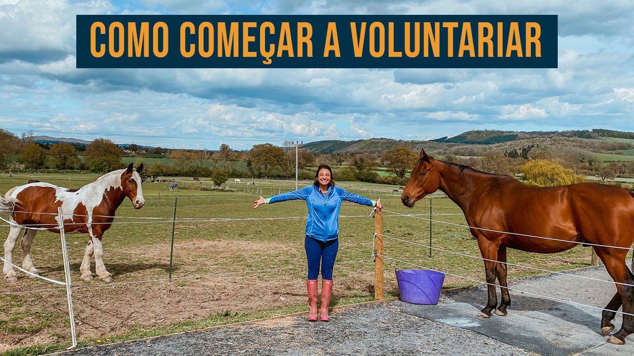 Habilidades valorizadas em programas de voluntariado internacional