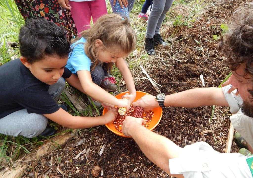 Como economizar e planejar seu intercâmbio voluntário