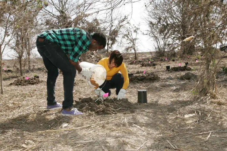 Documentos essenciais para seu intercâmbio voluntário no exterior