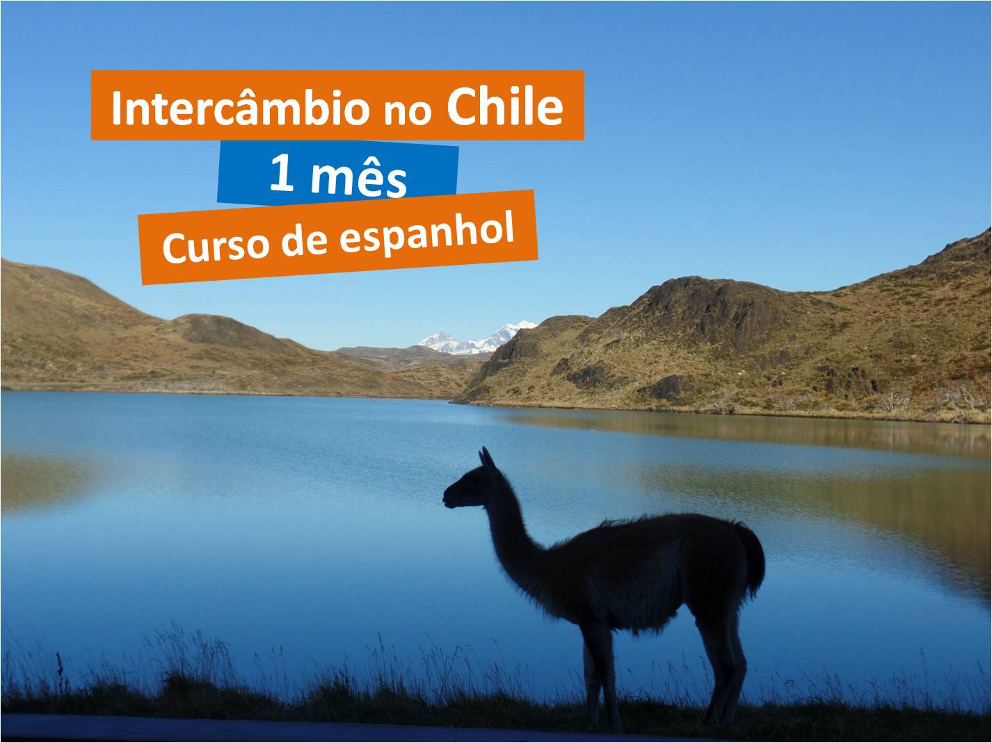 Intercâmbio Universitário no Chile: Convênios e Oportunidades para Brasileiros