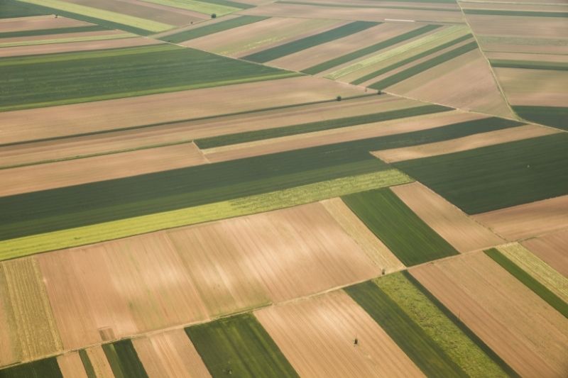 Loteamento vs. Desmembramento: Entenda as Diferenças e Qual Escolher