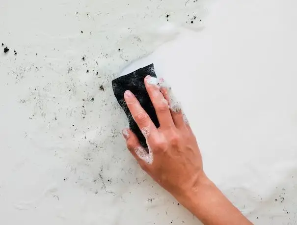 Como Prevenir o Mofo em Ambientes Úmidos: Dicas Essenciais