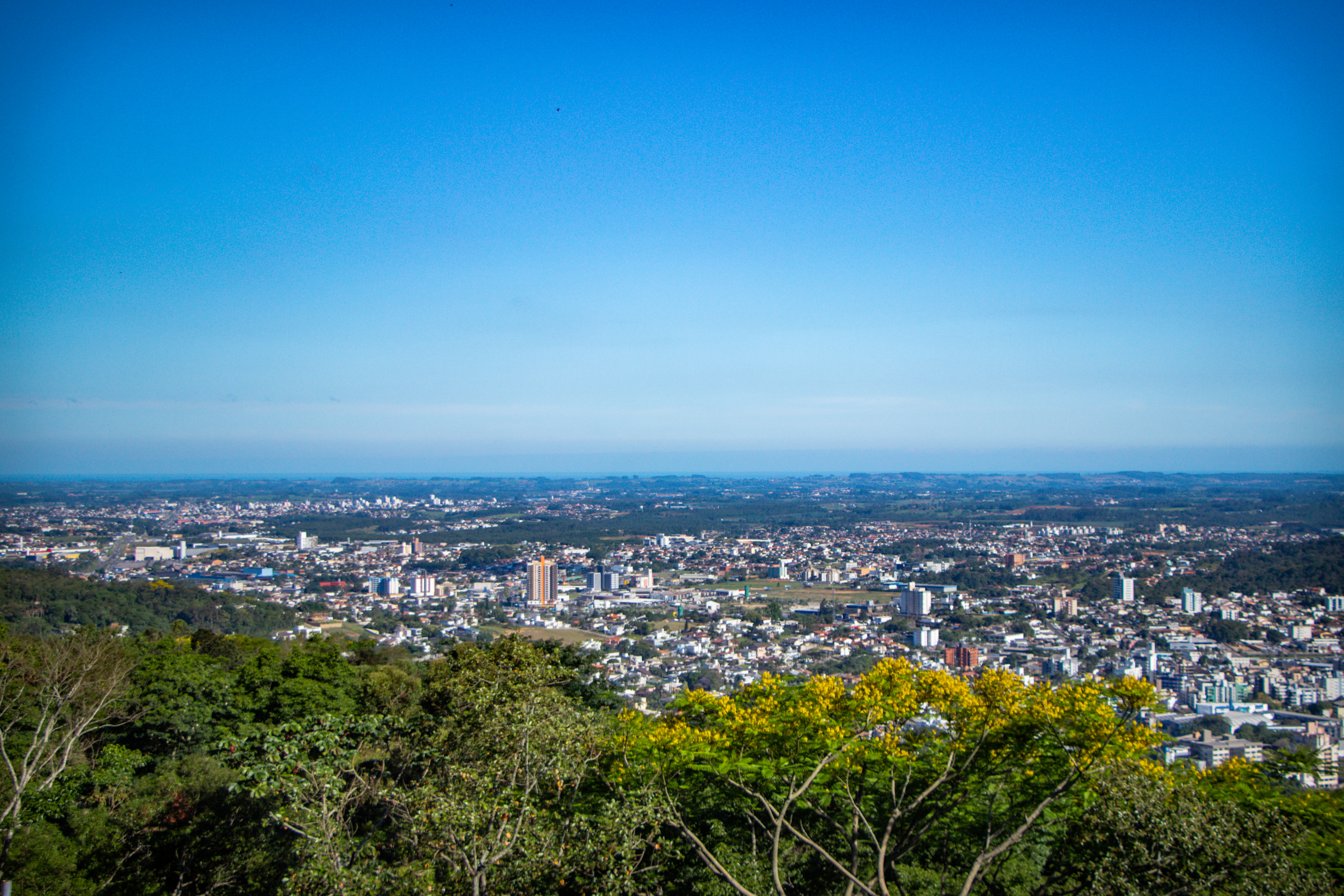 Catedral São José: História e Arquitetura no Coração de Criciúma