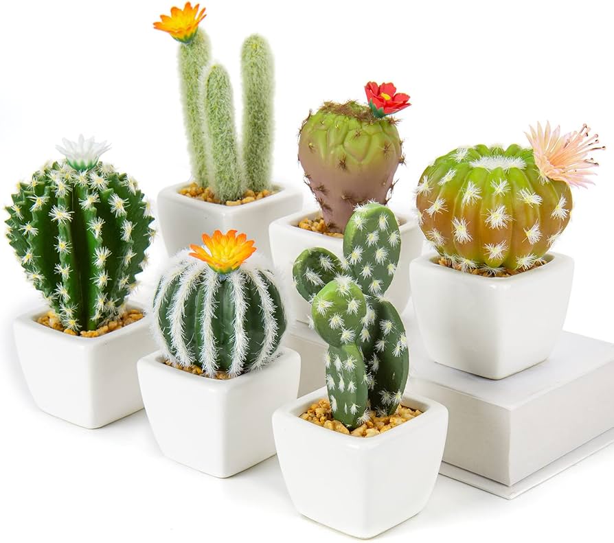 DIY: Crie seu próprio terrário de cactos em 5 passos