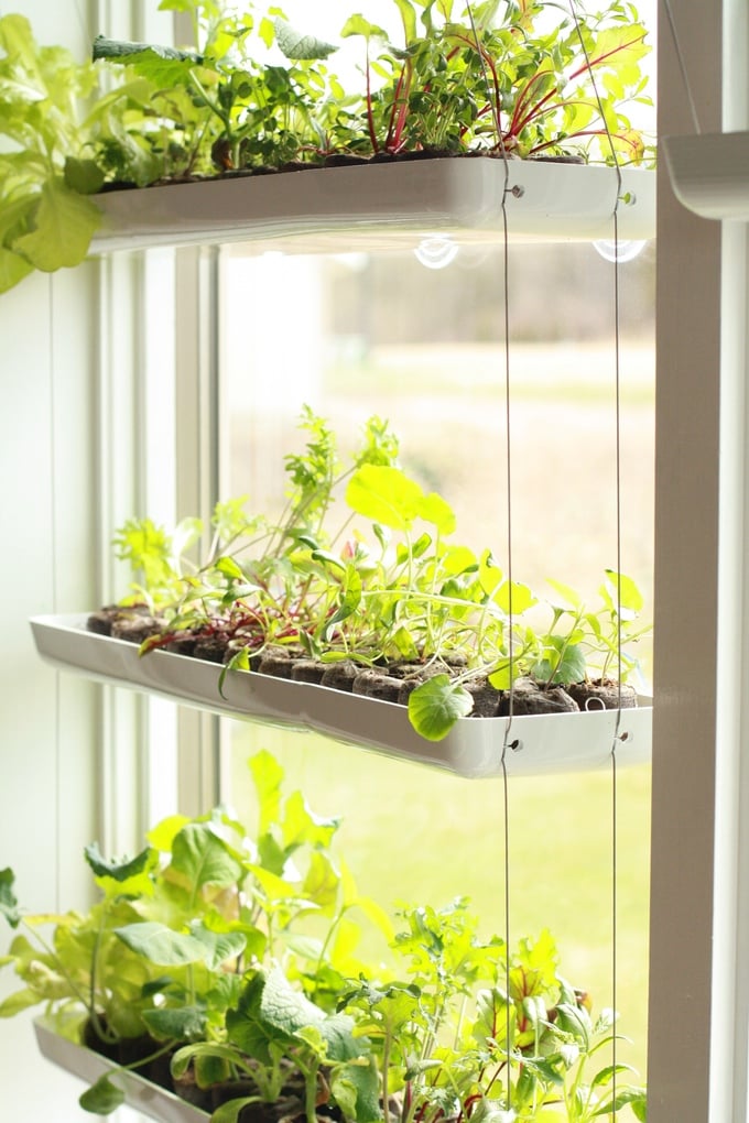 Materiais Reciclados para Sua Horta na Janela: Guia Completo