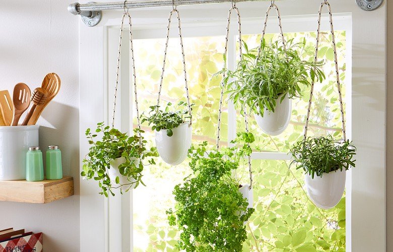 Drenagem e Adubação Essenciais para a Saúde da Sua Horta na Janela