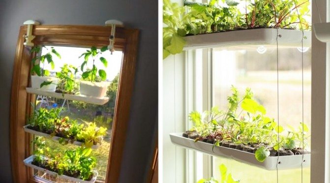 Como Montar uma Horta Vertical na Janela com Garrafas PET