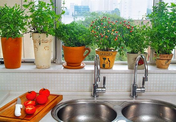 decoração de quarto com horta pequena na janela