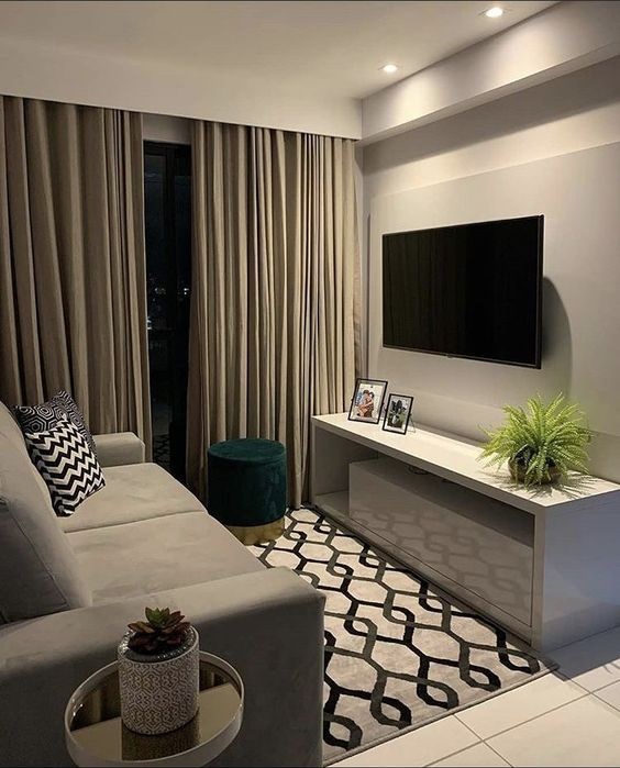 Plantas Baratas e Fáceis de Cuidar para Decorar Sua Sala