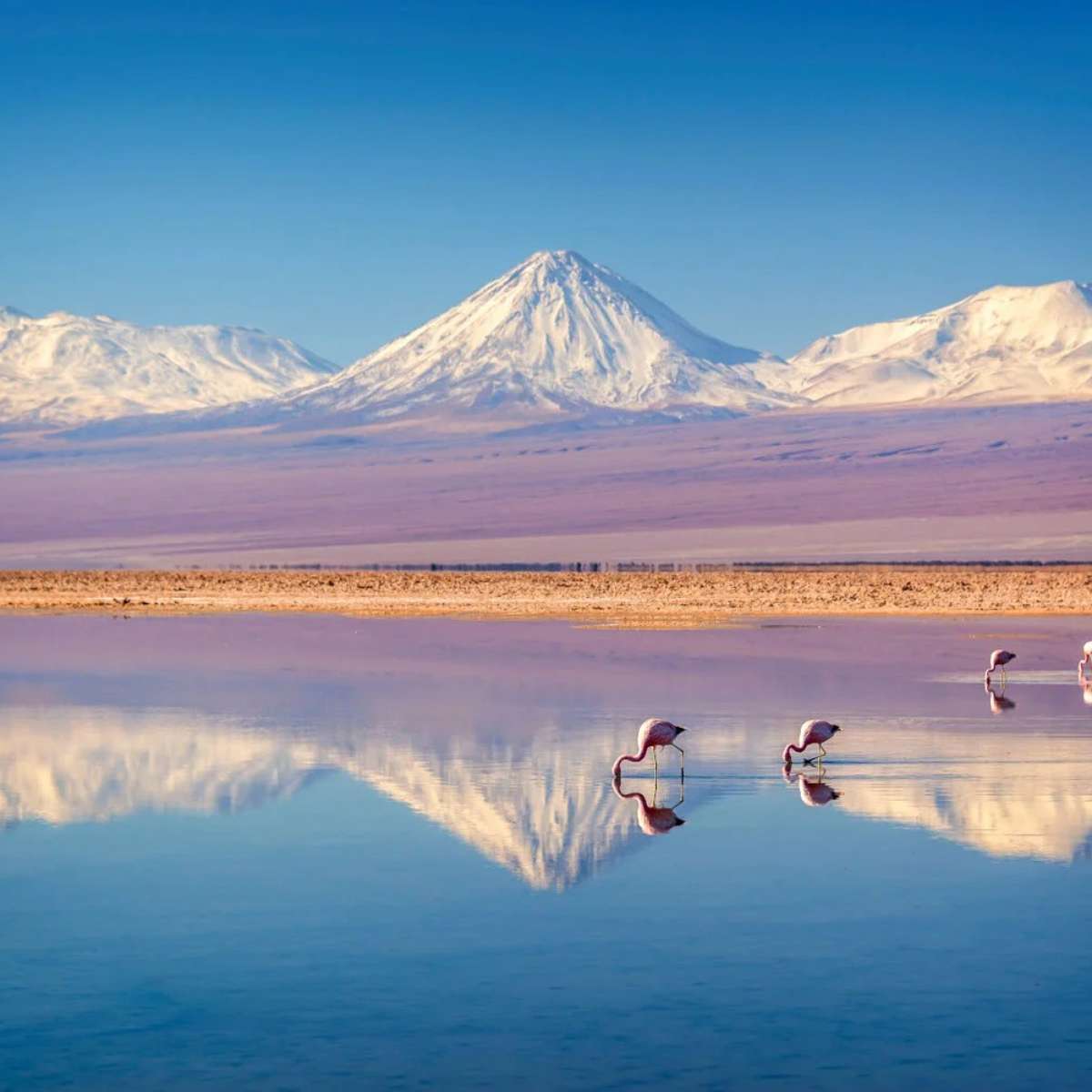 Hospedagem em San Pedro de Atacama: Opções para Todos os Bolsos