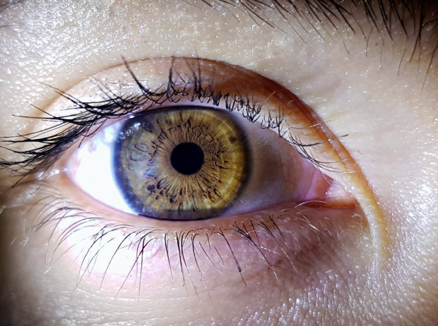 Maquiagem para Olhos Caídos: Truques com Lápis Bege e Esfumado Ascendente