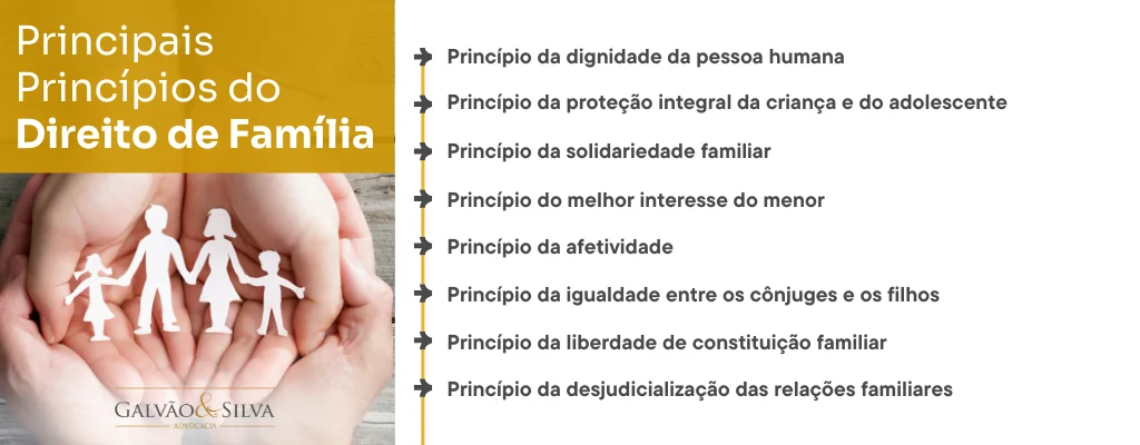 A Busca da Felicidade como Pilar do Direito de Família Contemporâneo