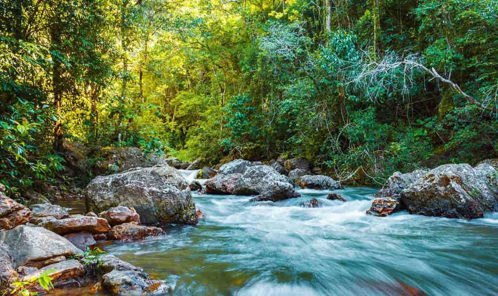 Como Escolher o Melhor Destino de Ecoturismo para Cada Época do Ano