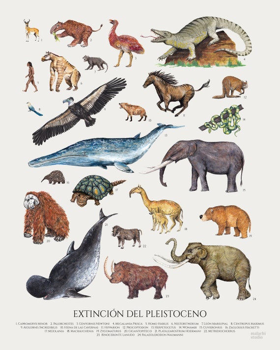 Os 10 animais extintos mais famosos da história