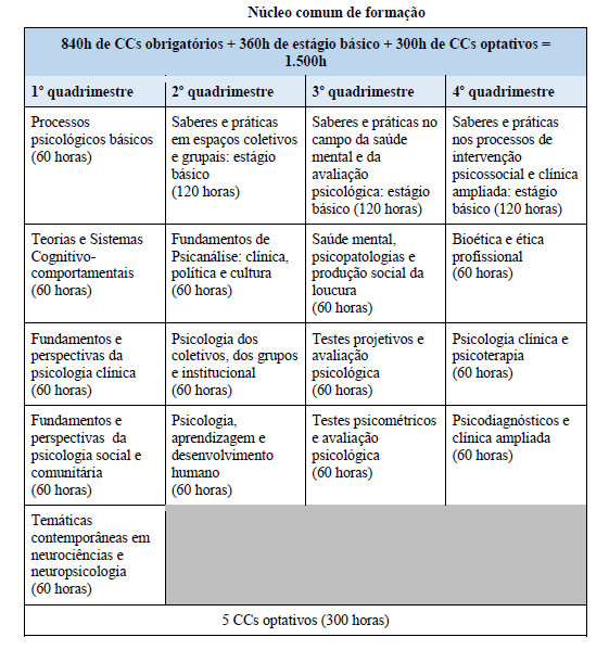 Quanto Custa a Mensalidade de Psicologia? Preços e Bolsas de Estudo