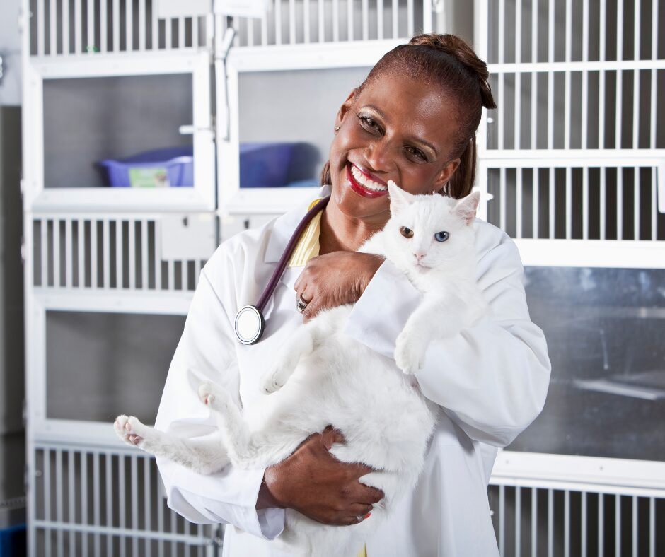 Guia Completo de Fluxo de Caixa para Clínicas Veterinárias