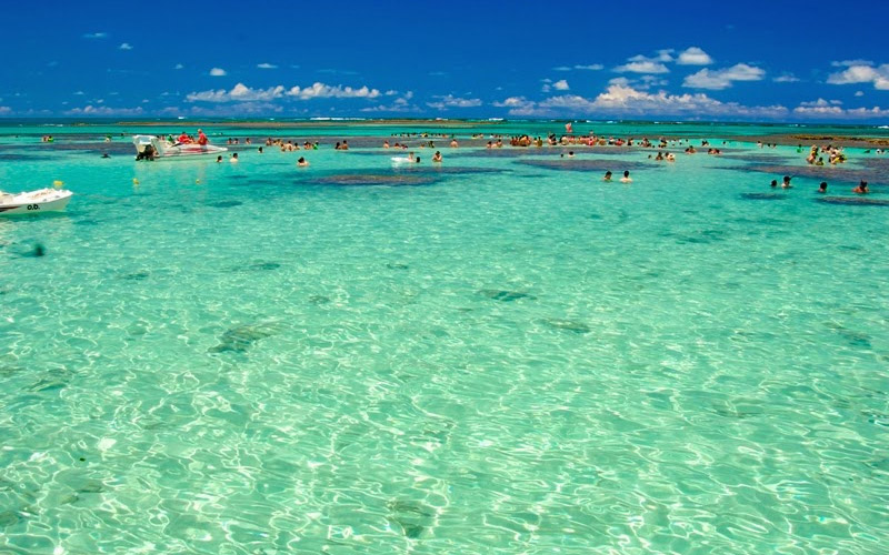 Como Tirar as Melhores Fotos nas Praias de Maceió: Dicas de Locais e Poses