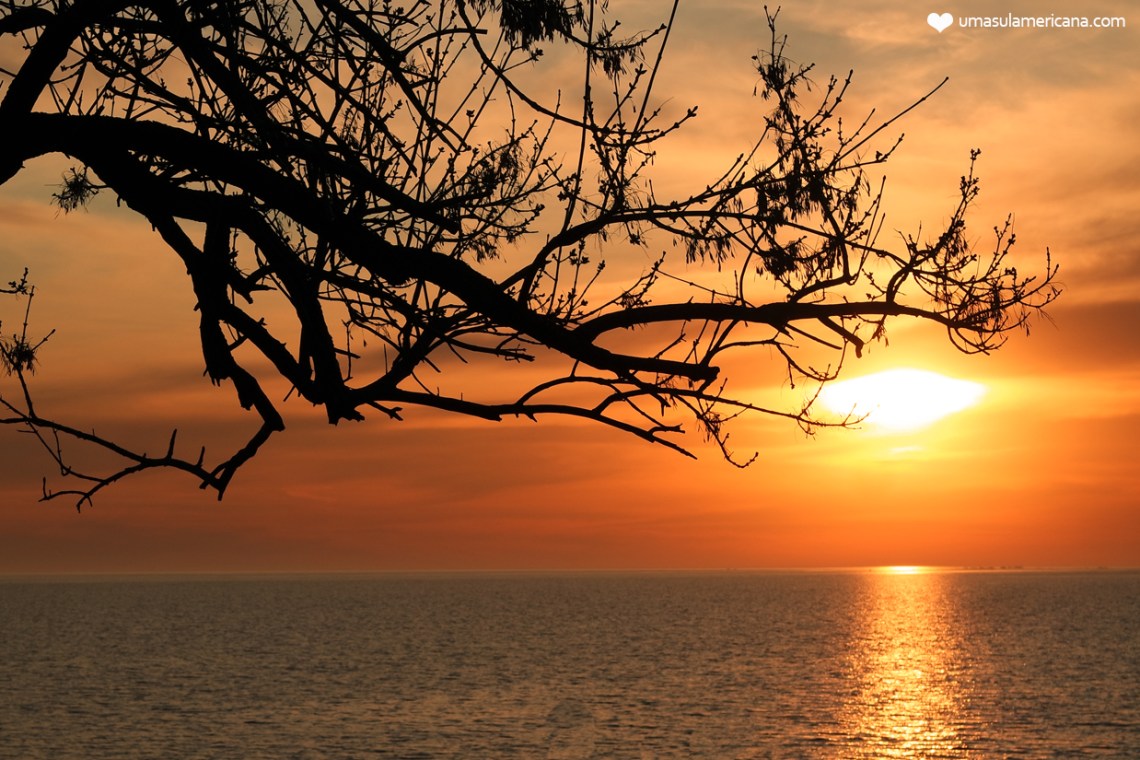 Dominando a Hora Dourada: Dicas Essenciais de Configuração e Composição para Fotos de Pôr do Sol