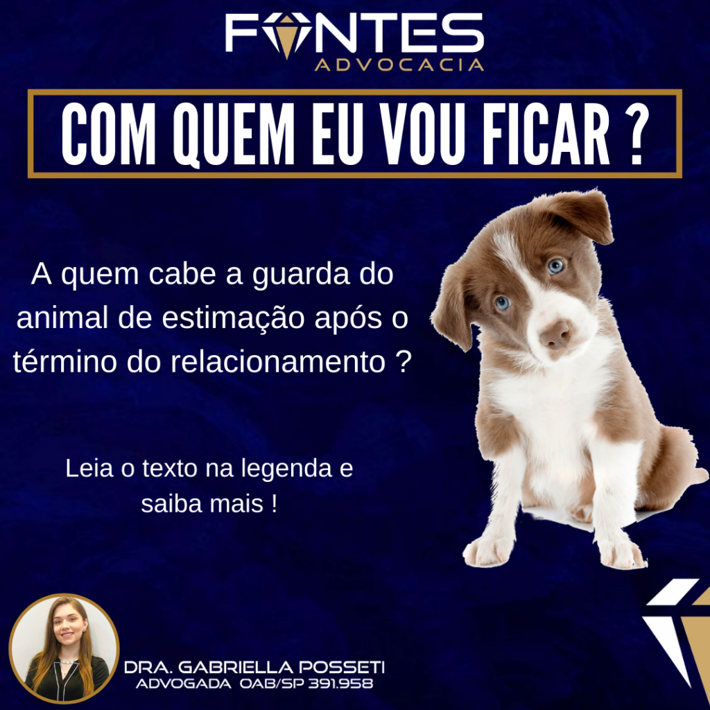 Guarda Compartilhada de Pets: O Que Muda Com a Nova Lei do Senado?