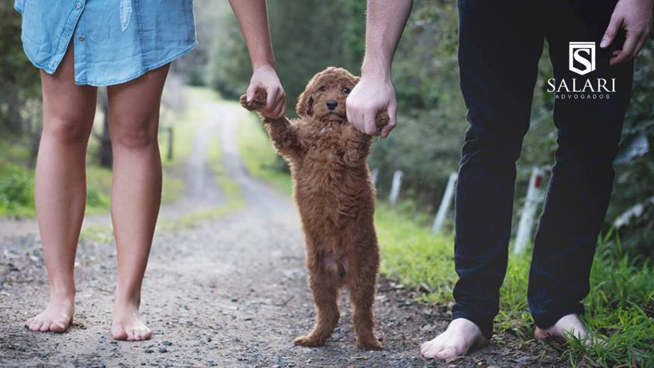 Guarda de Animais de Estimação