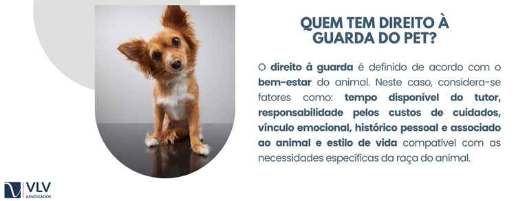 Como Definir a Guarda do Seu Pet Após o Divórcio: Guia Completo